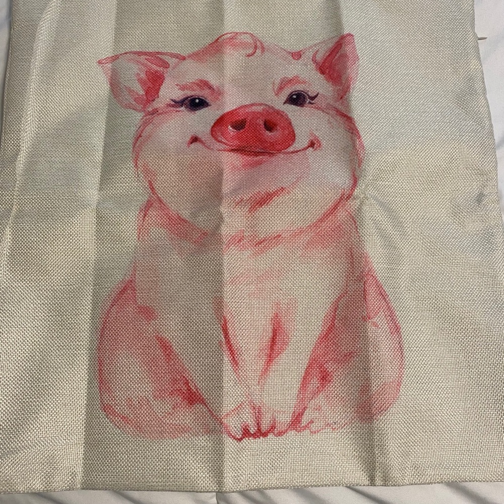 Pig Pillow case